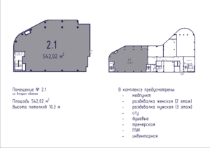 Планировка помещения № 2.1