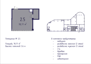 Планировка помещения № 2.5