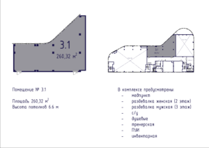 Планировка помещения № 3.1